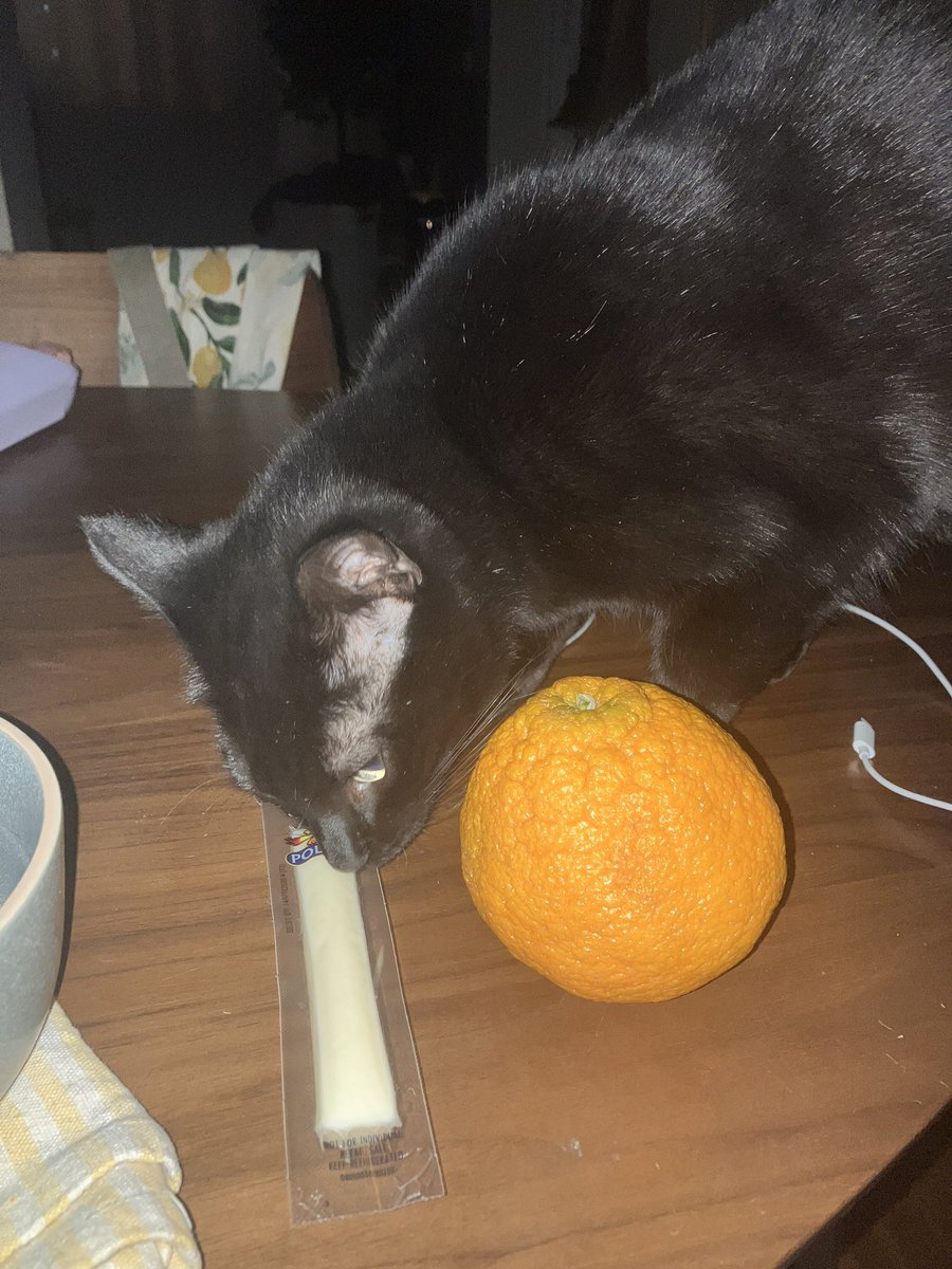 troughscraps's tweet image. slept for 2 hours #haha