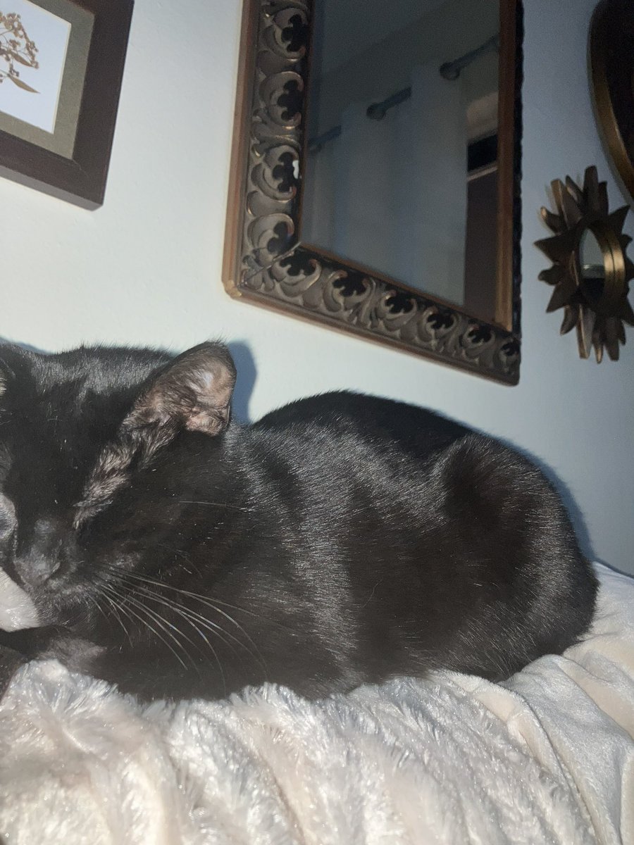 troughscraps's tweet image. slept for 2 hours #haha