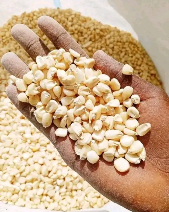 bless54679's tweet photo. 🔴 Burundi | Le prix du kg de maïs sec réduit à 1.800 FBU ! Mesure applicable aux acheteurs de l'Anagessa, sauf contrats signés. Exportation : document d'origine obligatoire. #Burundi #Maïs #Prix https://t.co/a875uMKeAy