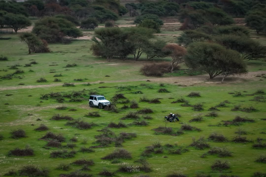 خالد الجهوري⁦ Khalid Aljahwari tweet media