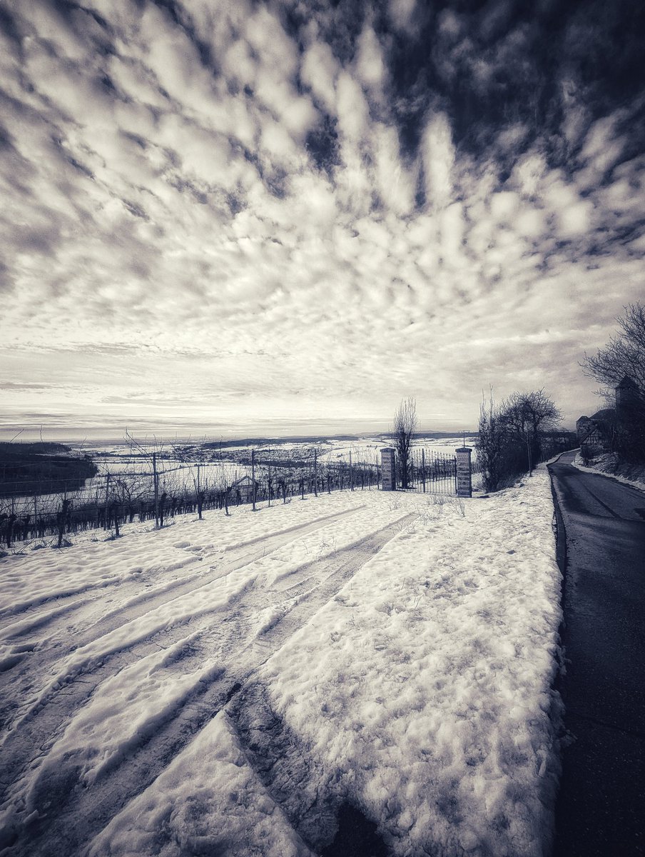 Traumfaehrte's tweet image. Open Range