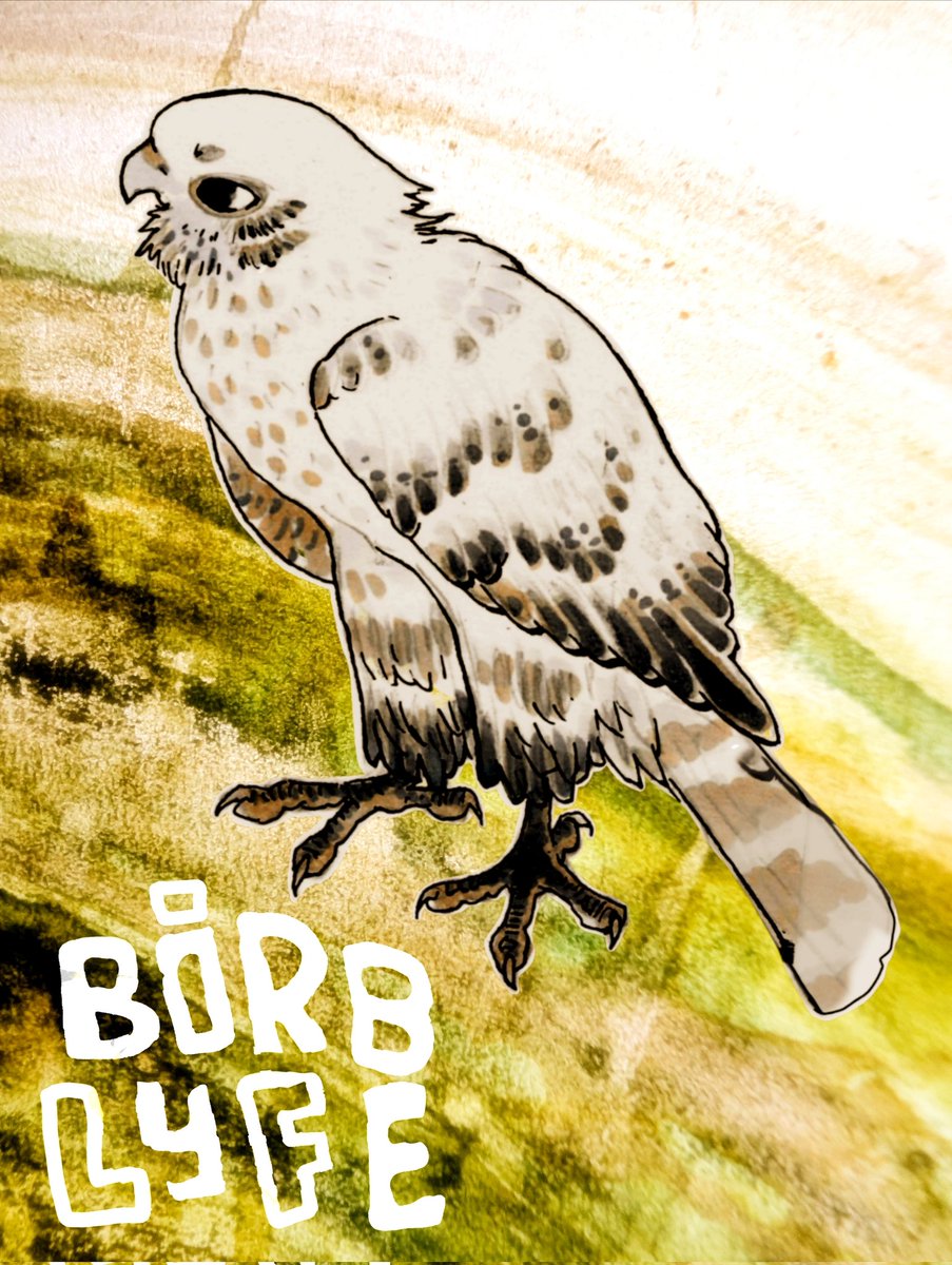 BIRBLYFE🇵🇸🇨🇩🇸🇩 tweet media