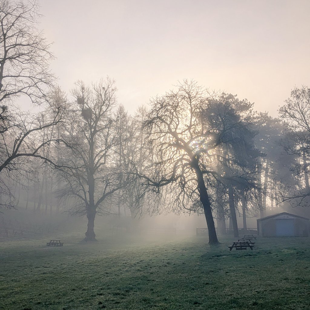 Fairmile Vineyard Henley on Thames tweet media