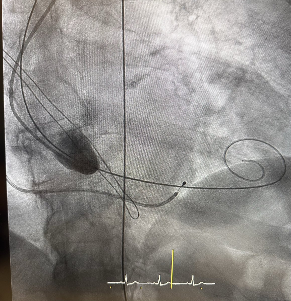 Mónica Fernández Quero tweet media