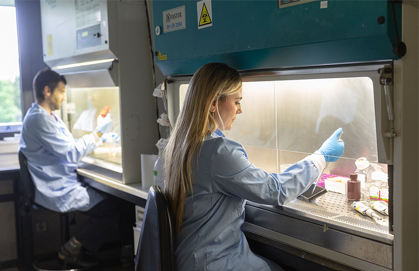 Universidad de Navarra tweet media