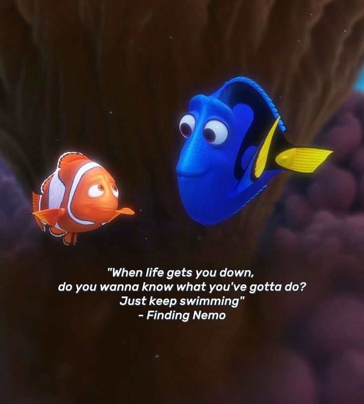 boramayraz93's tweet photo. #Nemo https://t.co/xSJY8uljgf