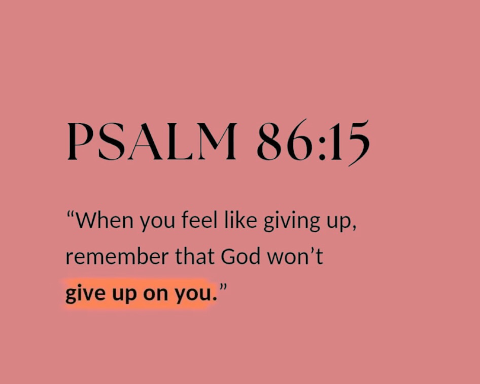 Bible 365 tweet media