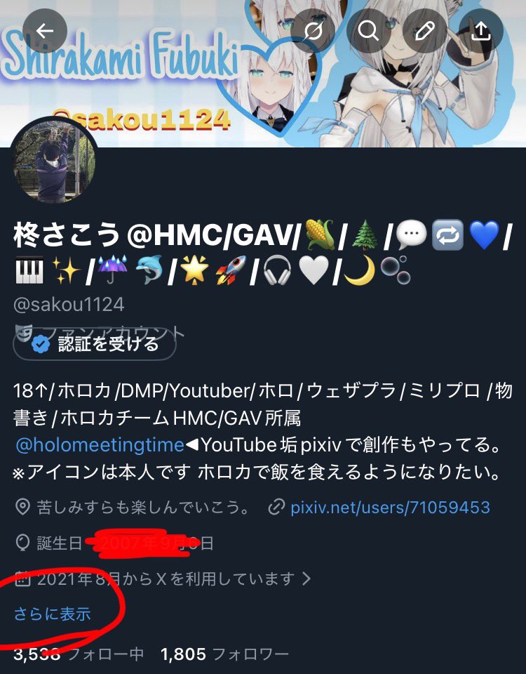 プロフィール見て下さい様 拡張プロフィールとやらを書いてみた クソ長いから気が向いたら見て