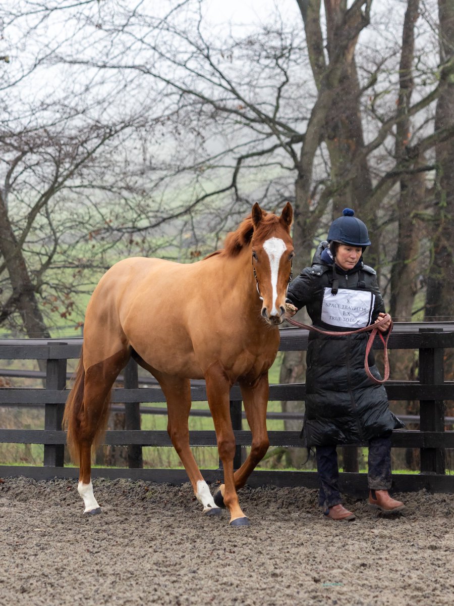 Middleham Park Racing tweet media