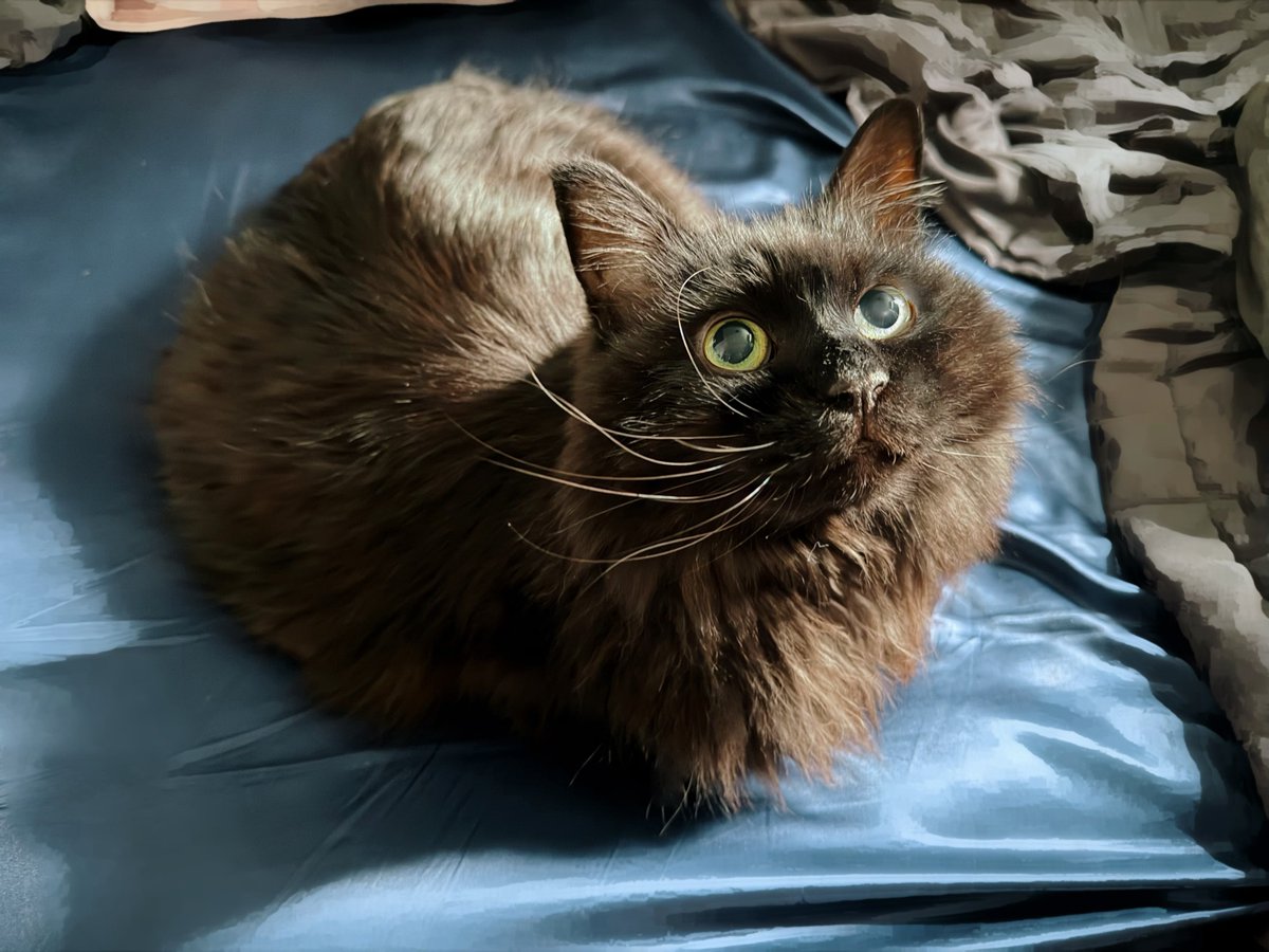 雫 (@HZshizuku) / Posts / X