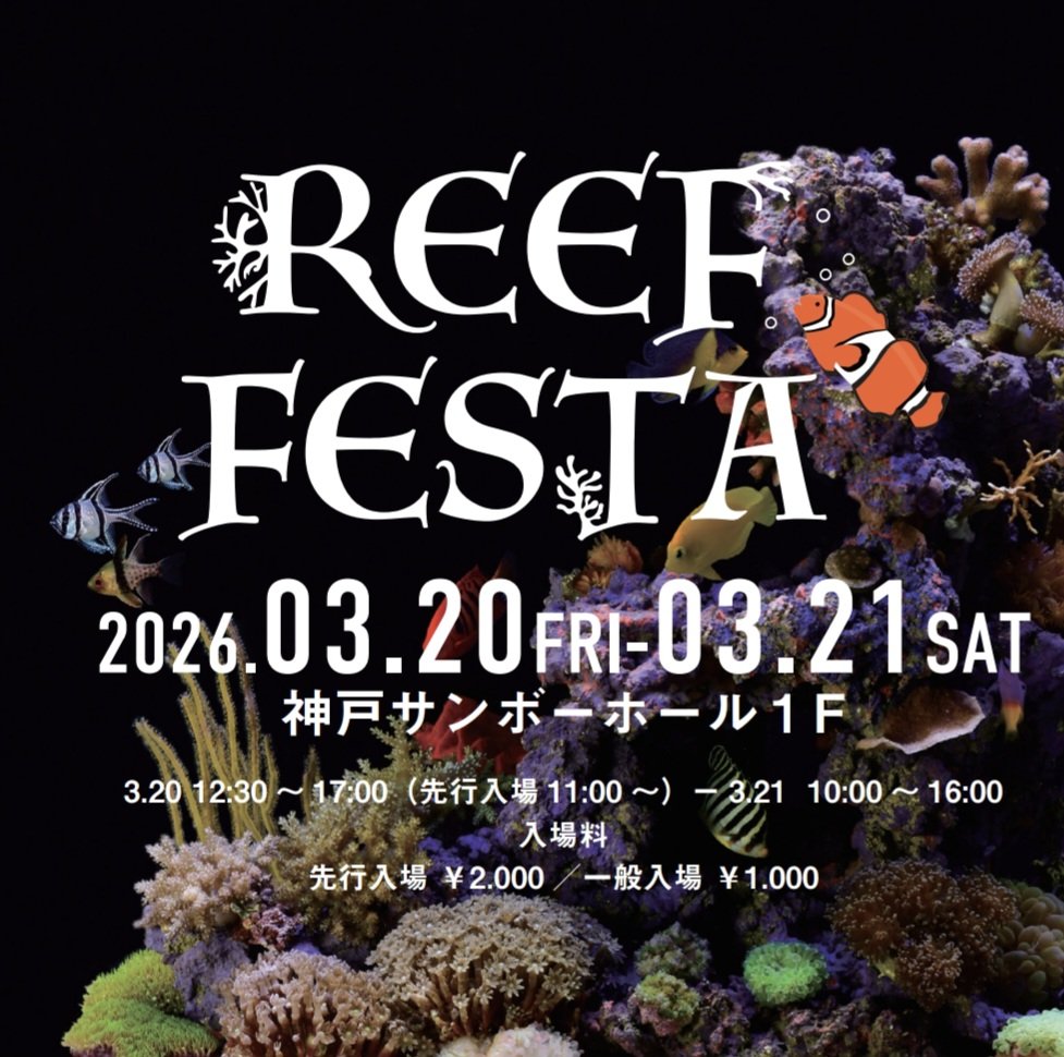 マリン@リミックスインター店 tweet media