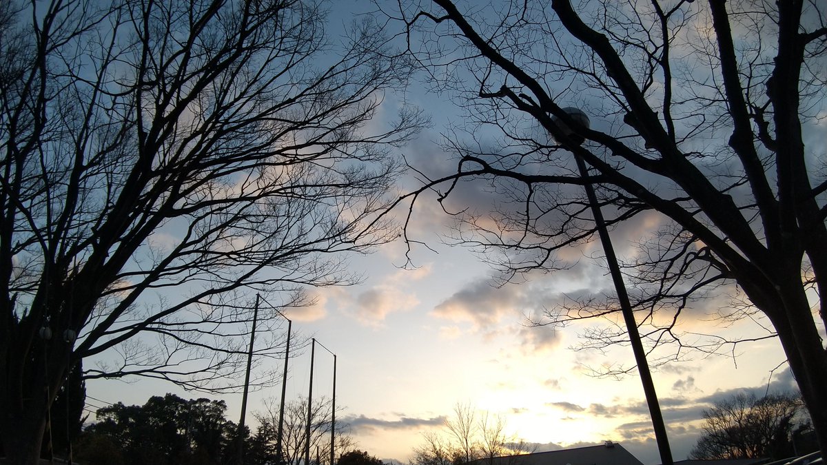 夕方散歩

段々日が長くなってきましたね 