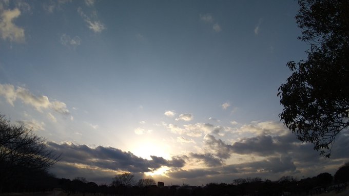 夕方散歩

段々日が長くなってきましたね 