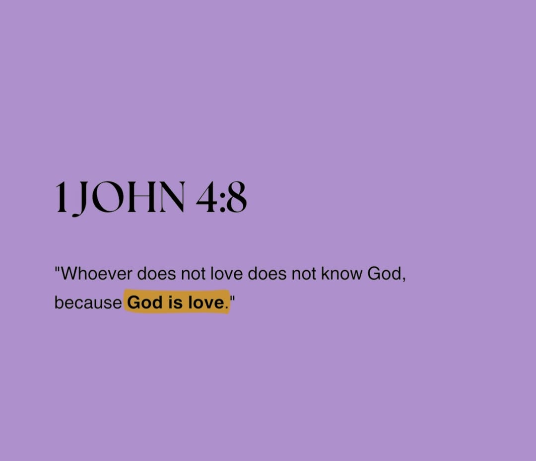 Bible 365 tweet media