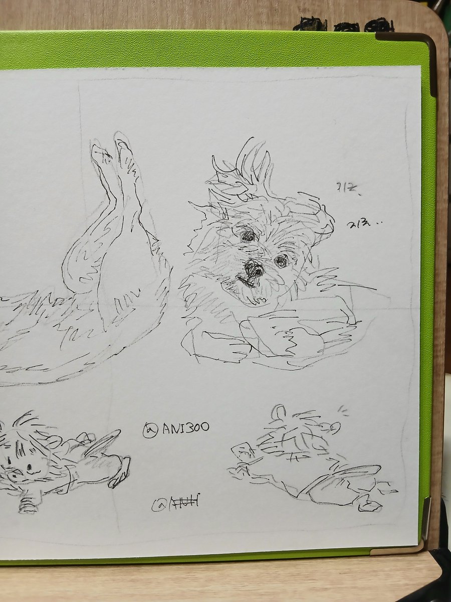 haedal_sunmoon1's tweet image. 지금이다.. 고슴도치는 잠든 안부 강아지 몰래, 리모콘을 가져가려 했어요..