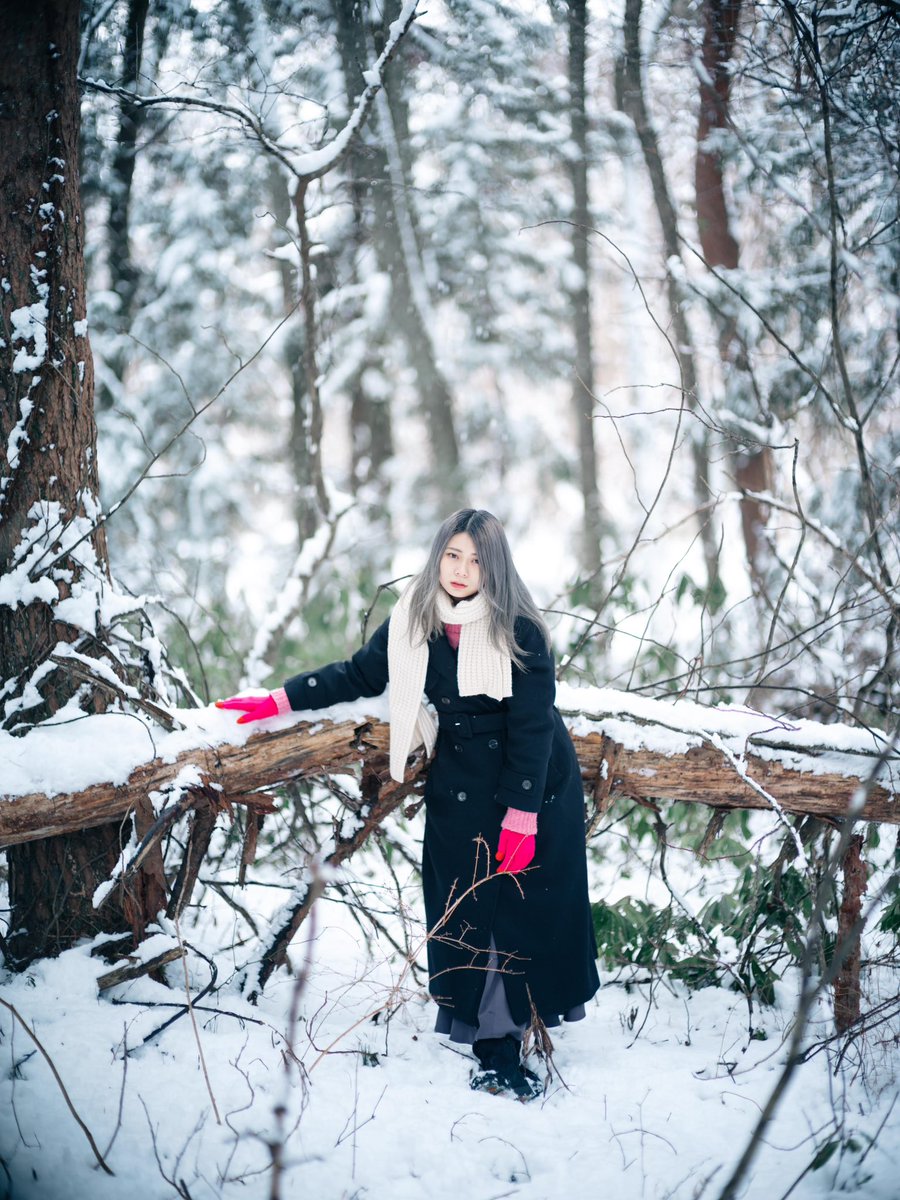 Hey_tarou_photo's tweet photo. Into the forest / 冬の森

model : 黒田萌音 https://t.co/yoY9MgcXn6