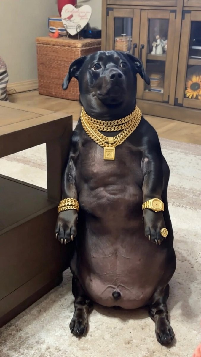 shellzexe tweet media