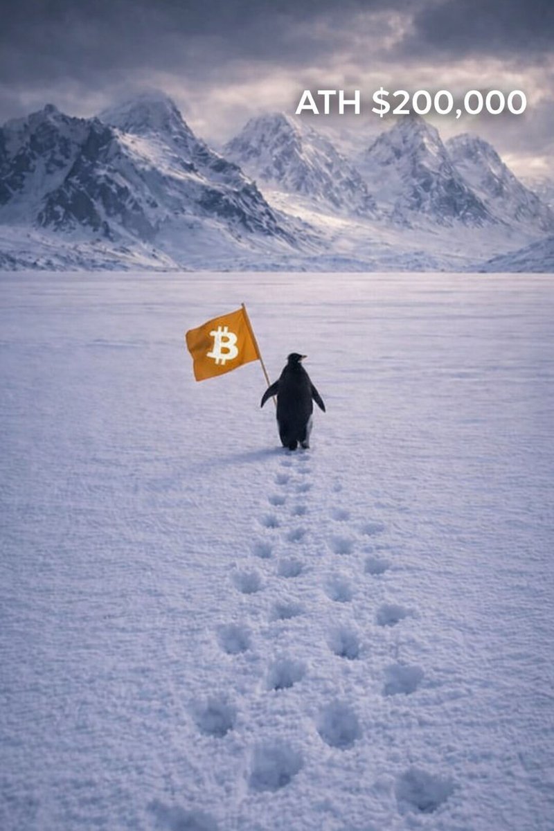 McDucktoken's tweet photo. Trust the process #btc https://t.co/4rOqxCKIur