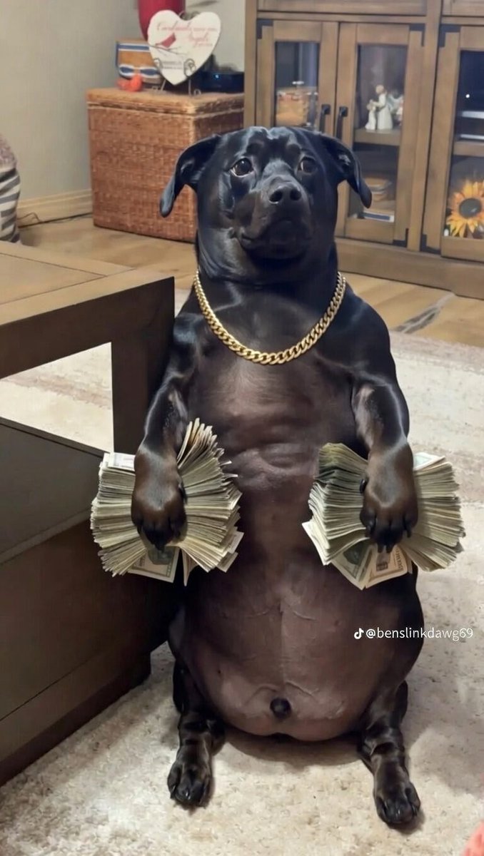 PromisedJewery tweet media