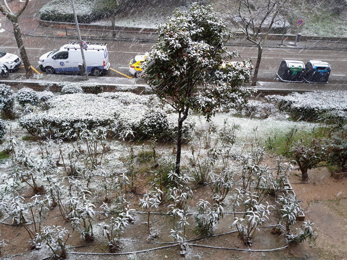 María Martínez 🌻🇺🇦 tweet media