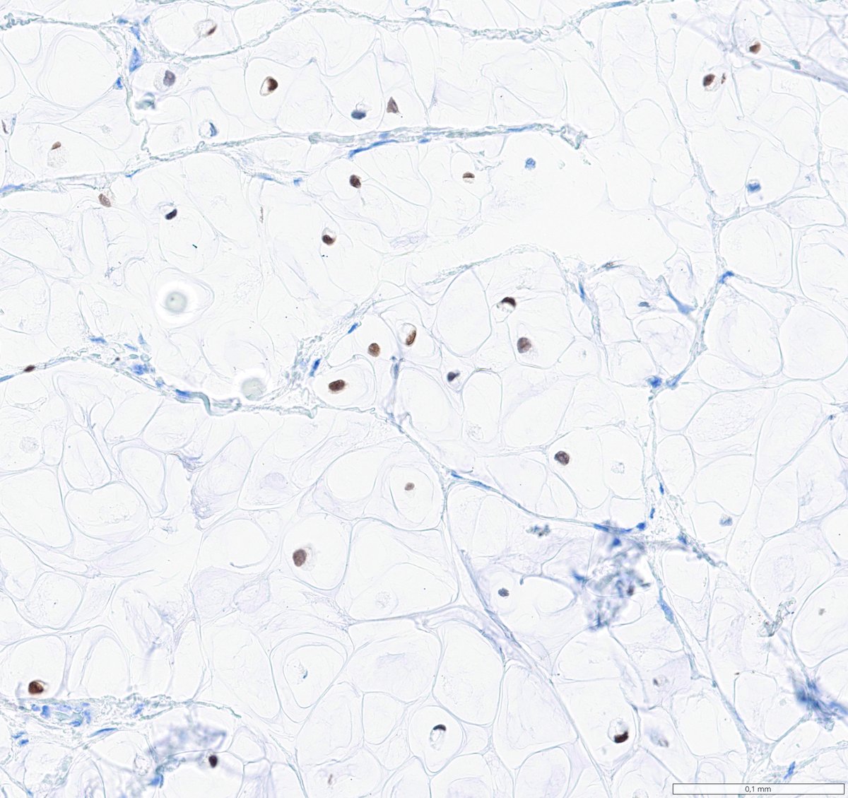 Ana-Maria Catana tweet media