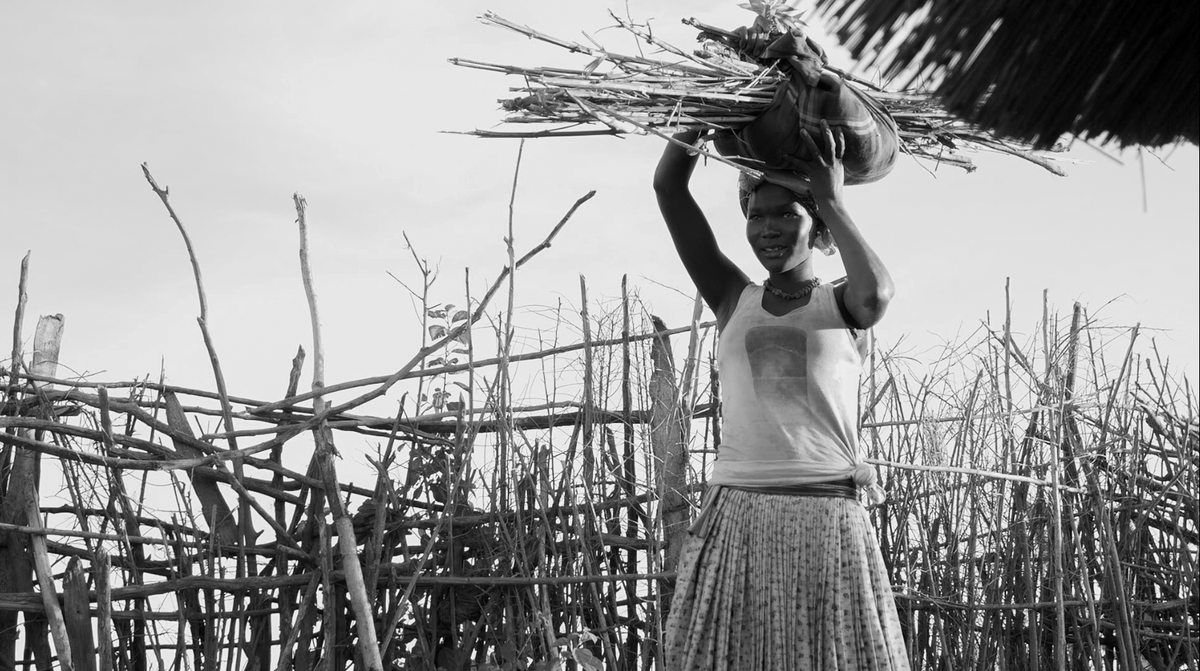 InfoNile tweet media