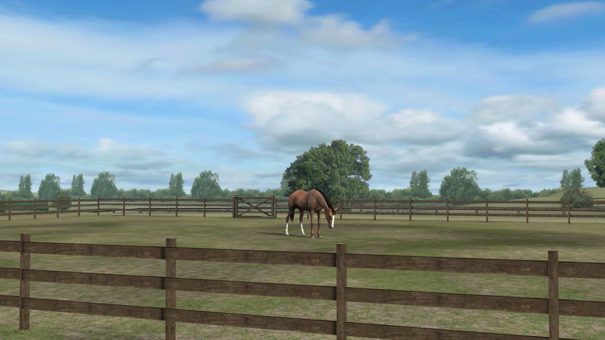 Sh11220's tweet photo. Check out my photo! Add me, ShrinkImage1019. #MyHorse نكججحممذزدزدكتضصثثاضاص https://t.co/ciXYuZLAIJ https://t.co/tdglPSBWYH