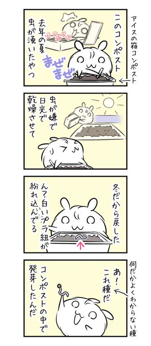 2102日目 プラゴミ入っちゃってる 