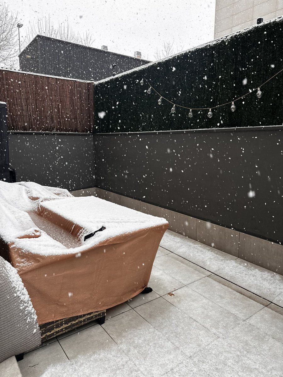 🌸 AnaHyrule 🌸 tweet media