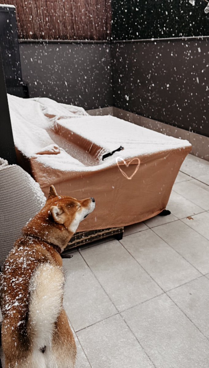 🌸 AnaHyrule 🌸 tweet media