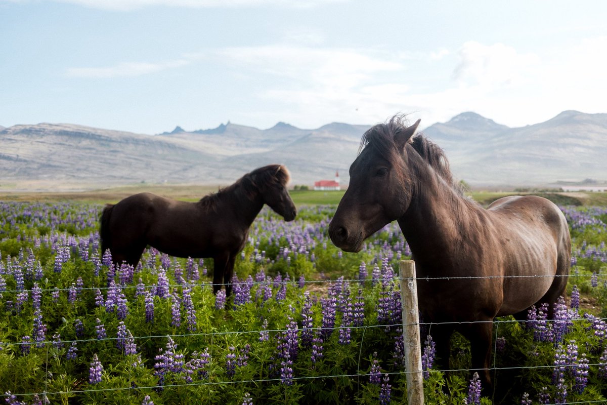 Jordan Billard tweet media