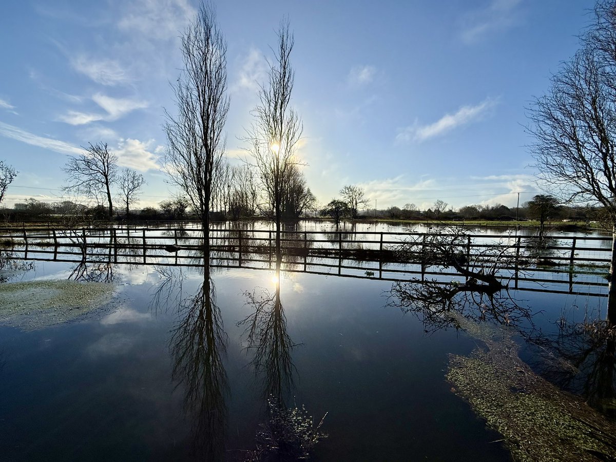 Cath Parslow 💙 tweet media