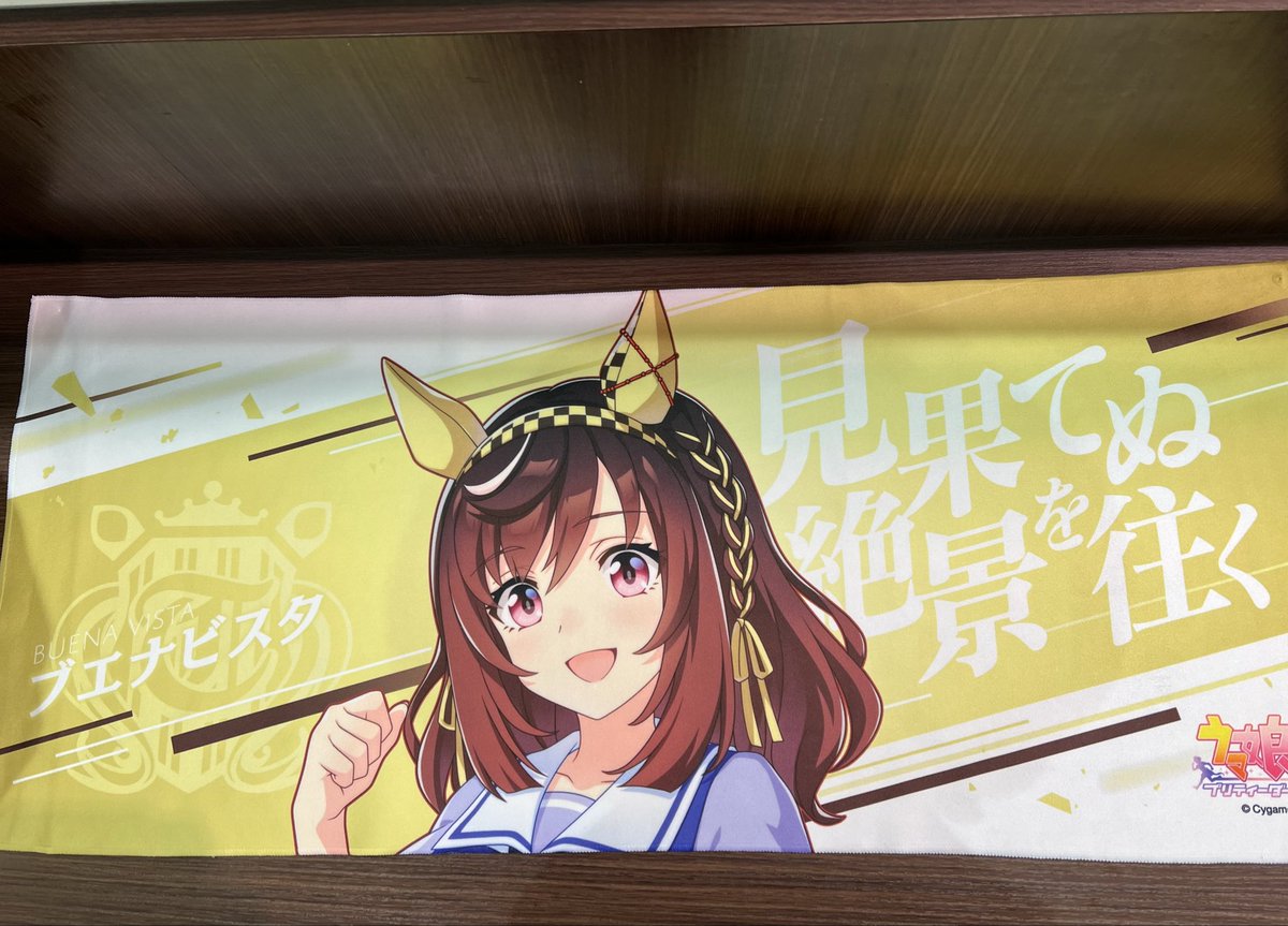 売っていたし値段も高くはなかったから…買っちゃいました！ 今の推し