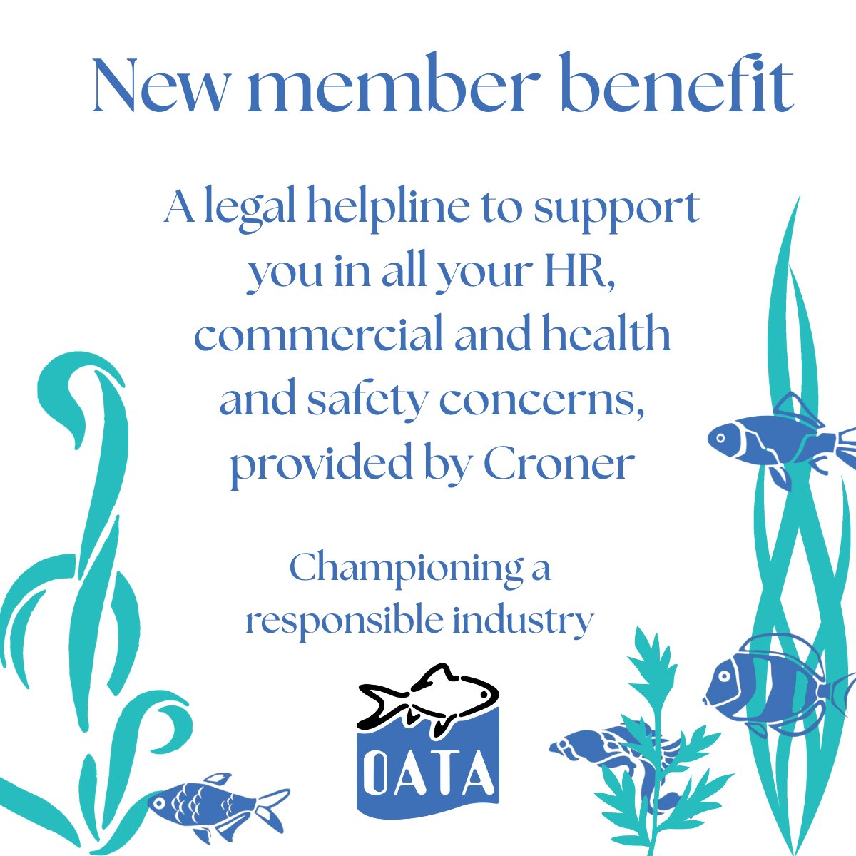 OATA Ltd tweet media