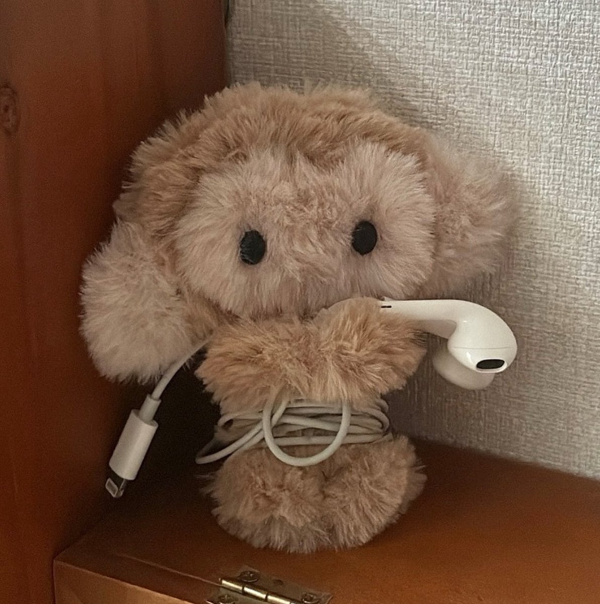 เดือนหน้าขอจองนึมตัวน้า 😭