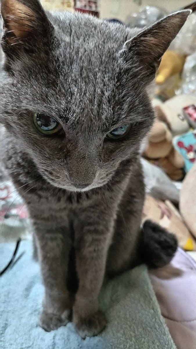 くまぞう🐻Aka.くまくま (@gCnDzEWjLnCXIGO) / Posts / X