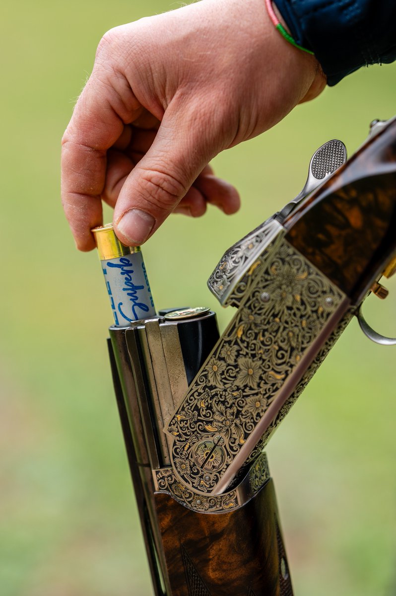 ELEY HAWK Ltd. tweet media