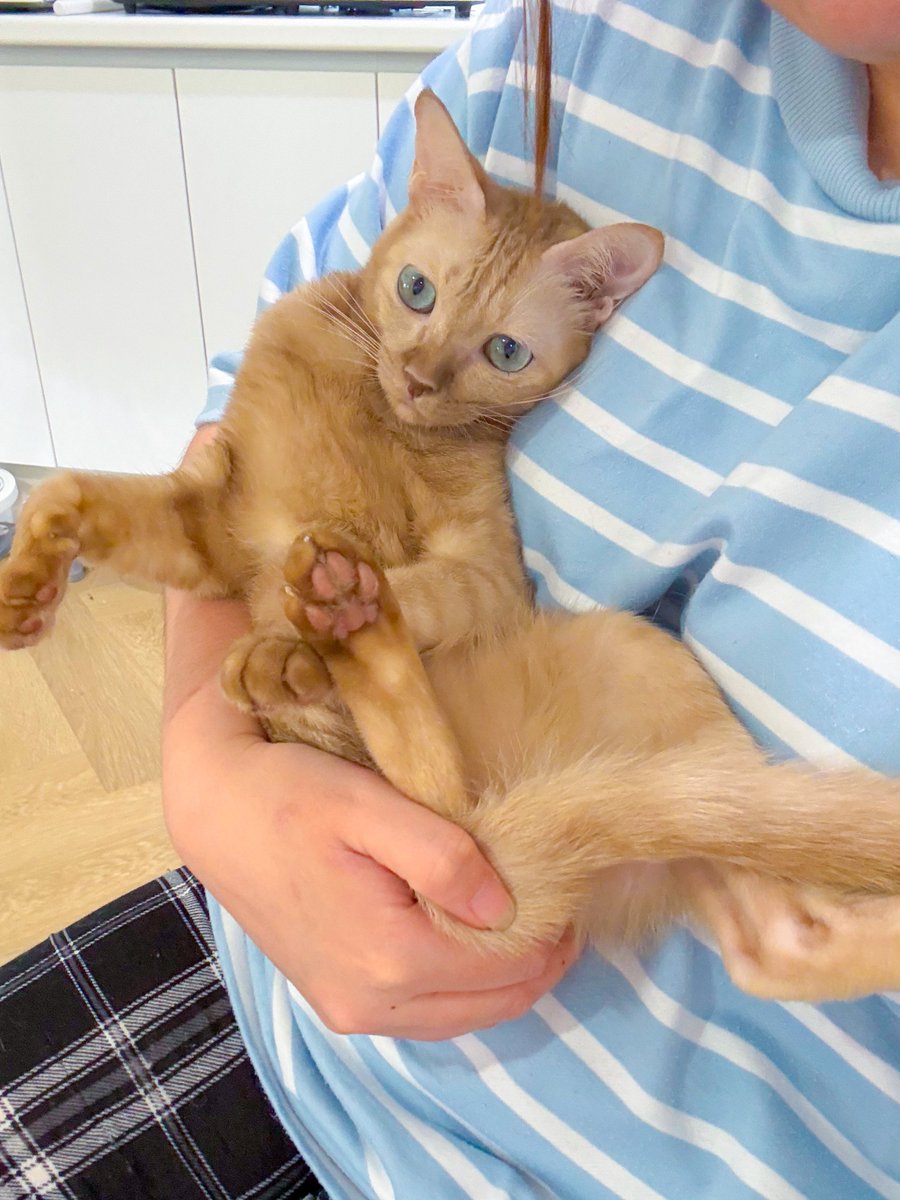 _DNVP2_'s tweet image. ชีรักยายมากกก วันๆไม่ชวนเล่นตุ๊กตาก็เดินตาม โดดให้อุ้ม ท้างงงงวัน