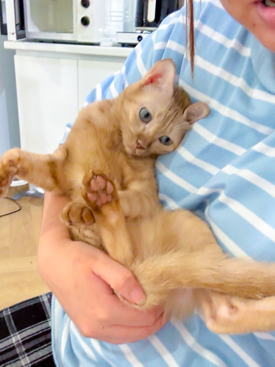 _DNVP2_'s tweet image. ชีรักยายมากกก วันๆไม่ชวนเล่นตุ๊กตาก็เดินตาม โดดให้อุ้ม ท้างงงงวัน