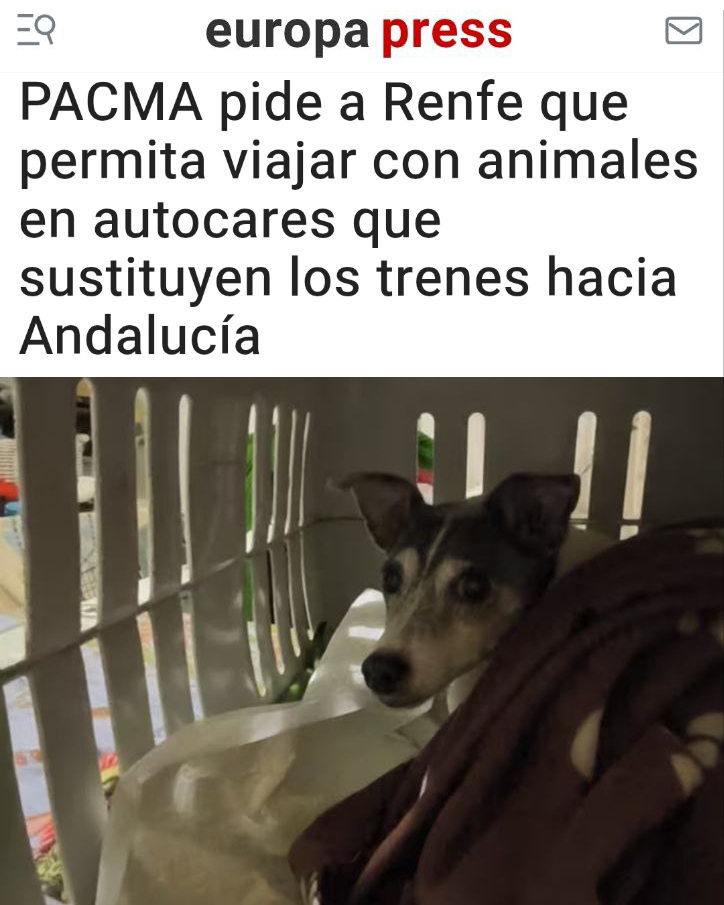 😡¡Basta de discriminación, <a href="/Renfe/">Renfe</a>!

🚌Los autobuses que sustituyen a los trenes hacia Andalucía tras el fatídico accidente de Adamuz no están permitiendo viajar con animales. ¡Esto es discriminatorio!

👉Pedimos a <a href="/Renfe/">Renfe</a> que reconsidere su prohibición y que permita que los