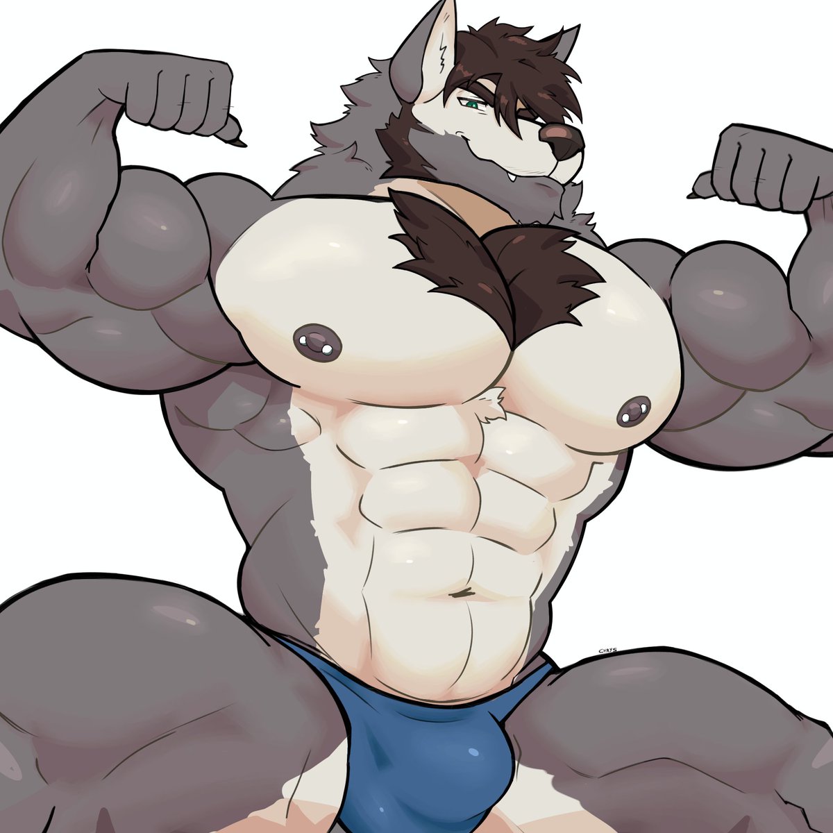 Chrysalis (COMS OPEN) tweet media