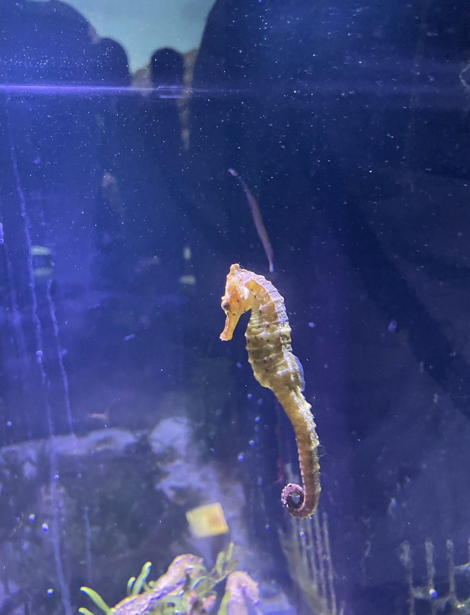 卒業研究のネタが決まらないので、コメント欄にてアイデア募集します😅 データサイエンスに関するものでしたら、株、ビットコイン、行動経済学 など、なんでも可です