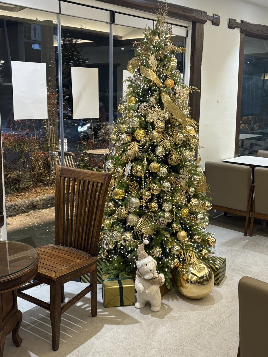 발레 쨈ㅋㅋ 
다음주도 발레위크여