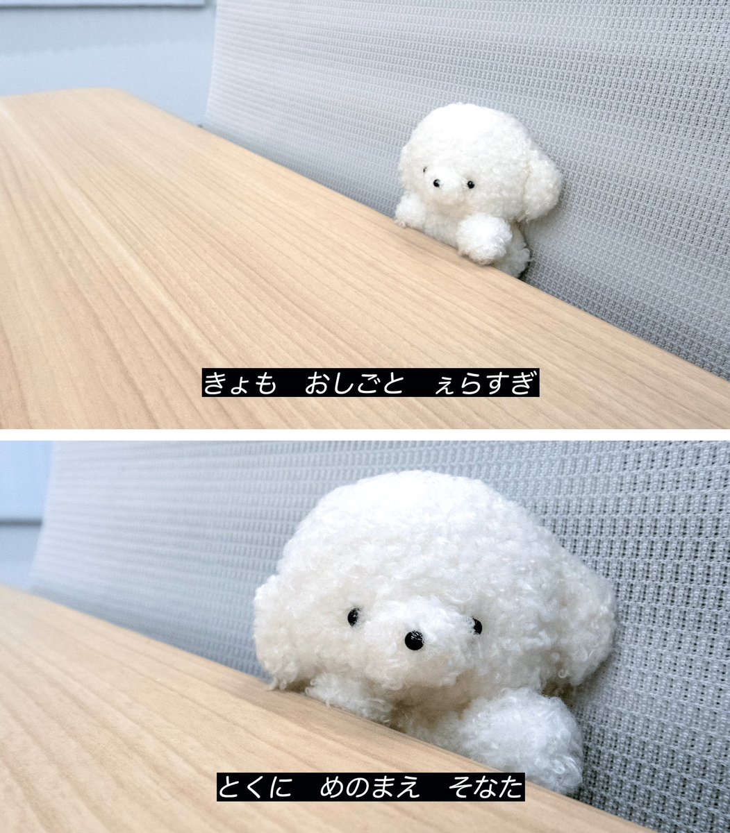 きぃ (@ki_chanxxx) / Posts / X