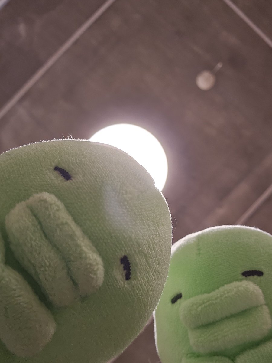 とこて@たまごっち🥚 (@mesopotamia149) on Twitter photo 