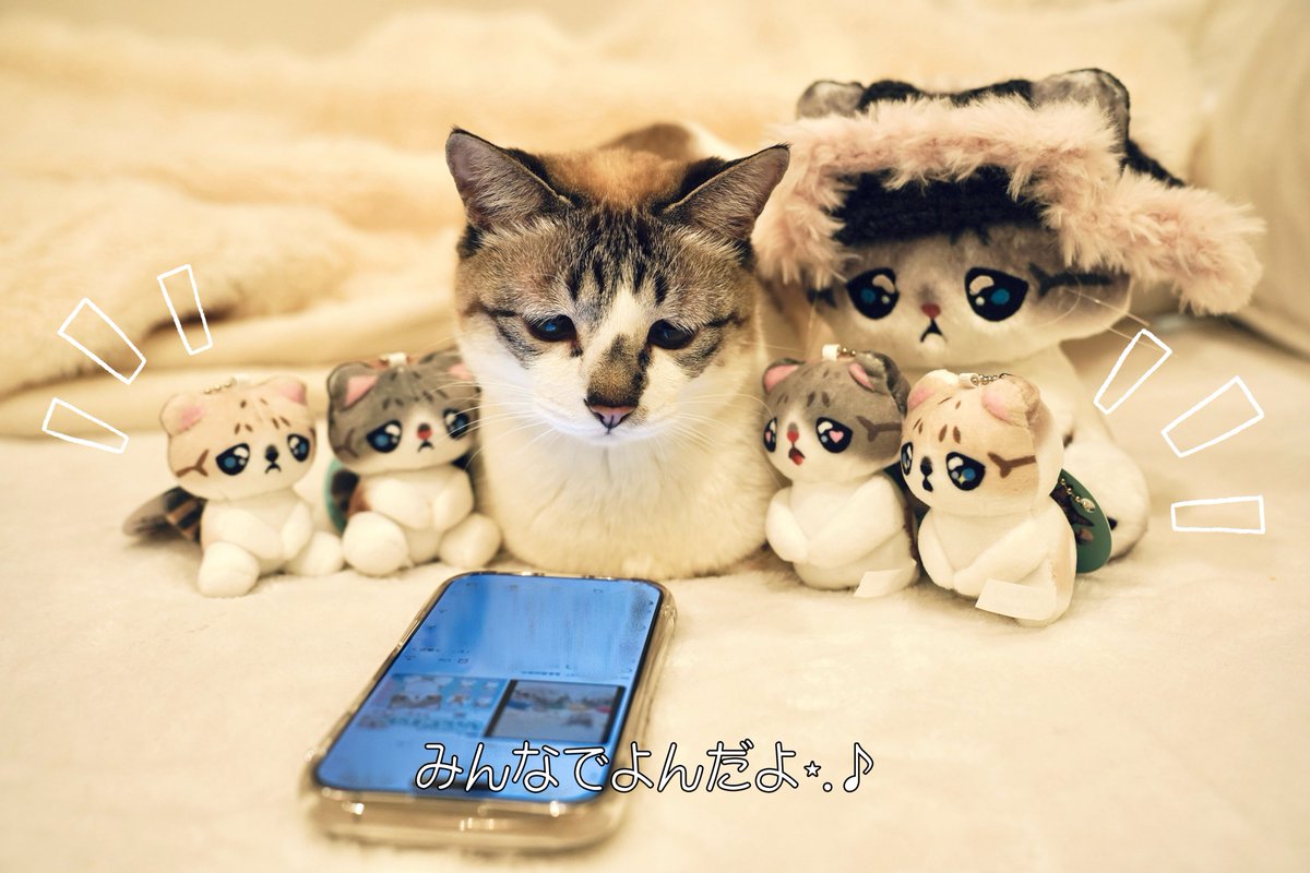 ぴえん猫ミント (@piennekomint) / Posts / X