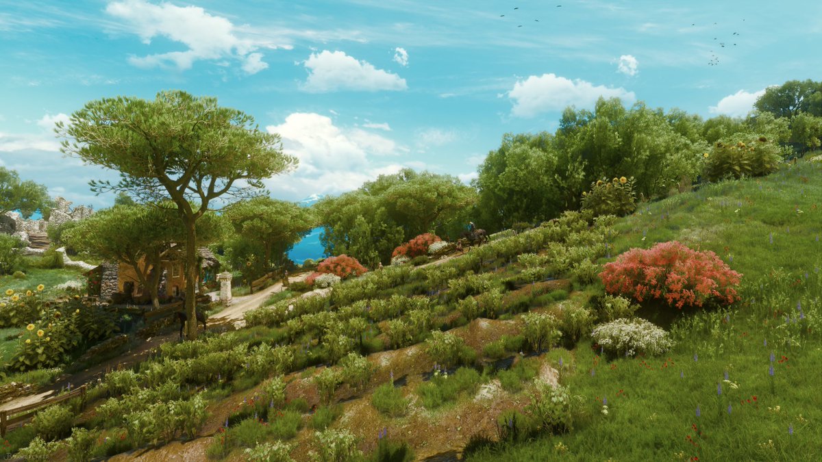 JB_Jawbreaker's tweet image. Beauclair
#TheWitcher3