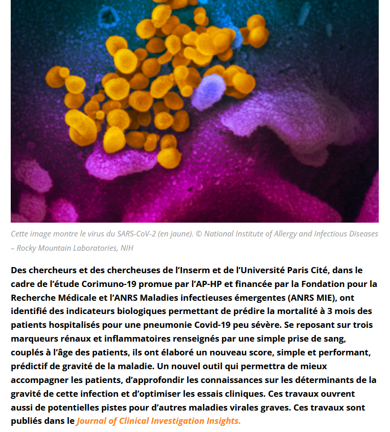 nicolasberrod's tweet photo. ❗ Des chercheurs français ont identifié de nouveaux marqueurs biologiques prédictifs du risque de mourir du #Covid19 en cas d'hospitalisation.

Ces derniers "dévoilent un tout nouvel aspect de la maladie, immunitaire mais surtout rénal".

1/3