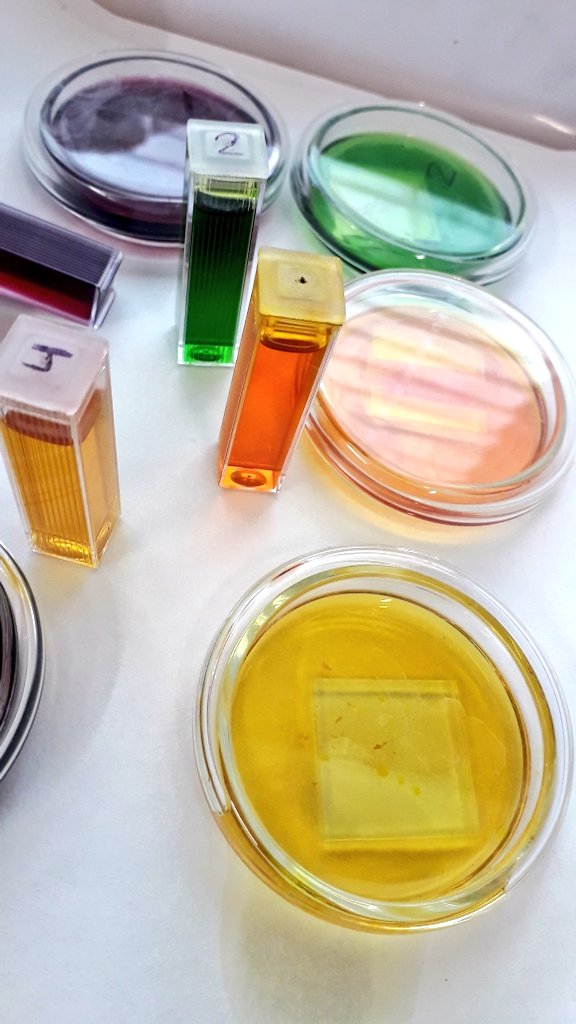 Ahir vam anar a visitar l'alumnat de 1er de batxillerat cientificotecnològic de l'<a href="/inshugroger/">INS Hug Roger III</a> de #Sort. Els vam donar a conèixer una nova tecnologia per convertir la llum en electricitat: les cel·les solars Grätzel, energia solar inspirada en la fotosíntesi. 
💡🌿💡🌿💡