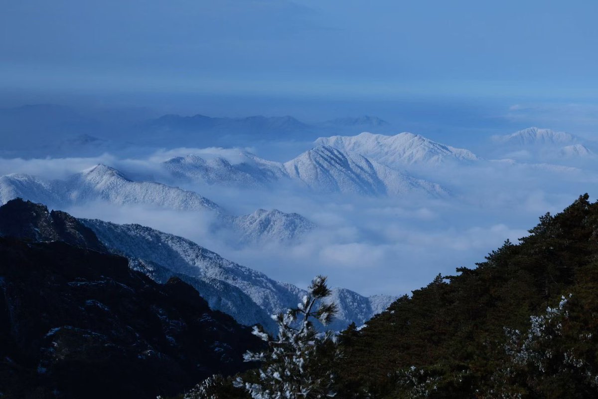 小西瓜粑粑 tweet media